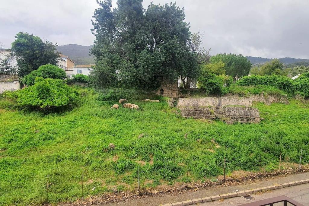 La Terracita Del Bosque Apartman Kültér fotó