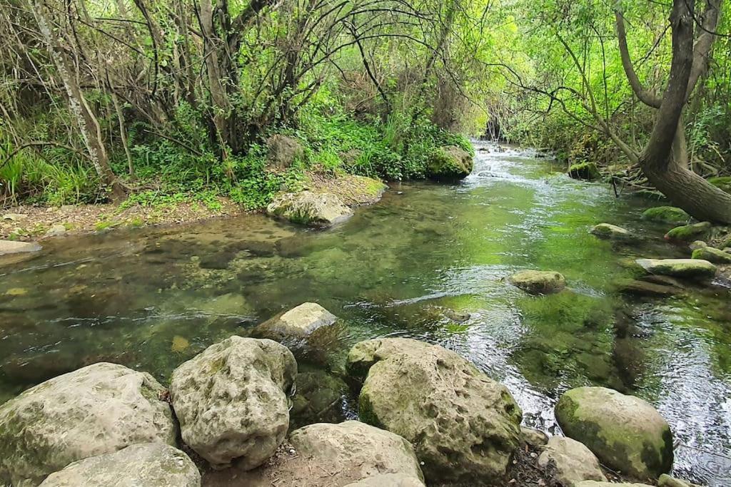 La Terracita Del Bosque Apartman Kültér fotó