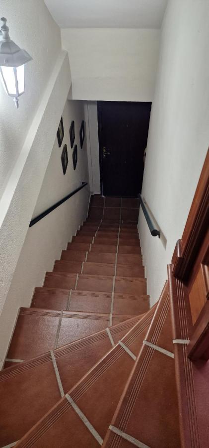 La Terracita Del Bosque Apartman Kültér fotó